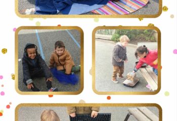 20250312_215826-COLLAGE
