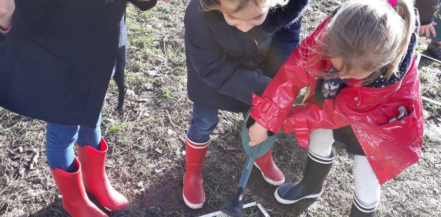 Les petites bêtes du jardin
