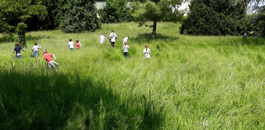 Les petites bêtes du jardin
