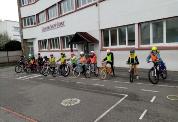 IMG_20241217_135250_resized_20241219_111026431