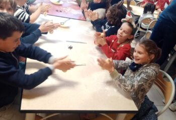 IMG_20241220_101306_resized_20241222_061029813