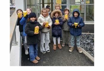 20250207_150358-COLLAGE