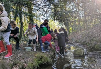 WhatsApp-Image-2025-04-01-at-12.01.39-1