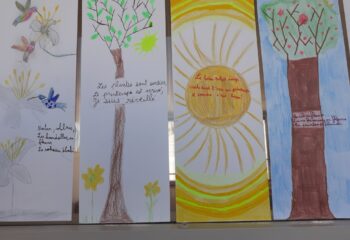 20260402_171946 20260402_171946