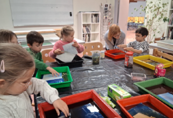 Image1 Image1